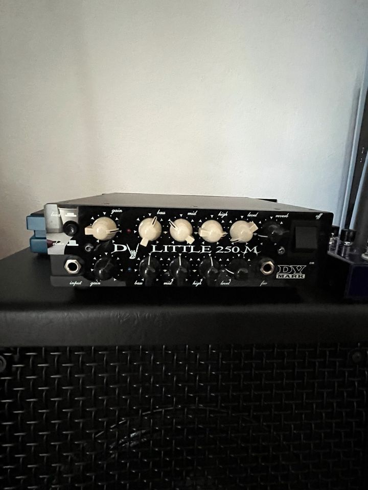 DV Mark DV Little 250 M, Gitarren AMP, Top Zustand, wie neu in Duisburg