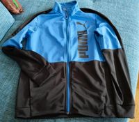 Puma Trainingsjacke 152 Nordrhein-Westfalen - Oer-Erkenschwick Vorschau