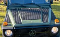 Mercedes G GE GD Motorhaube Kotflügel Trittschutz BM460 W461W463 Niedersachsen - Winsen (Aller) Vorschau