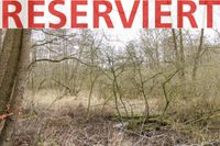 RESERVIERT - Wald und Moorland in Bassum-Hollwedel - Verkauf im Bieterverfahren bis 15.04.2024 ! Niedersachsen - Bassum Vorschau