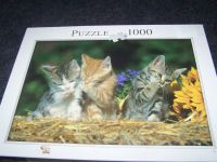 Katzen Puzzle 1000 Teile – Süße Kätzchen Kreis Pinneberg - Pinneberg Vorschau