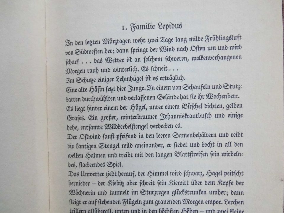 Kriegsjahr 1943“ Meister Lampe“ Altdeutsche Schrift in Rödlin