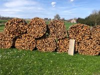 Fichtenbrennholz gespalten und gebündelt, Preis pro Ster Bayern - Affing Vorschau