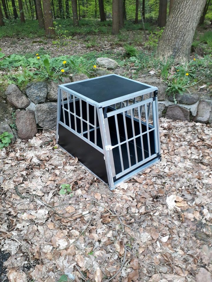 Hundebox XXL in Buchholz in der Nordheide