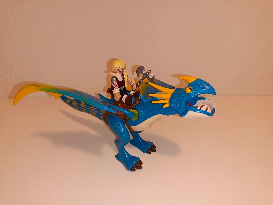 Playmobil Dragons (9 Sets) in Wriezen