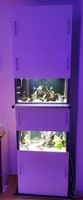 Alusteck-Aquariumregal für bis zu vier Aquarien Rostock - Stadtmitte Vorschau