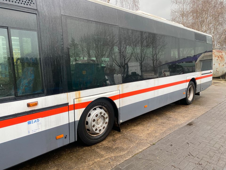 Neoplan Bus /Schulbus / Partybus / N4411 in Lingen (Ems)