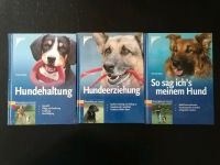 Hunde Ratgeber, Hundeerziehung und Haltung Schleswig-Holstein - Lübeck Vorschau