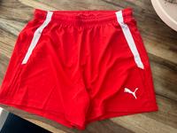 Puma Sporthose rot Kurze Hose Laufhose Hessen - Hasselroth Vorschau
