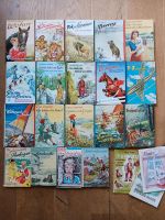 1950er Jahre Kinder- und Jugendbücher, Göttinger Jugendbände Nordrhein-Westfalen - Havixbeck Vorschau