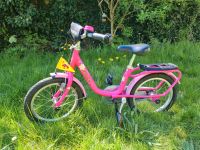 PUKY Fahrrad 16 Zoll Schleswig-Holstein - Preetz Vorschau