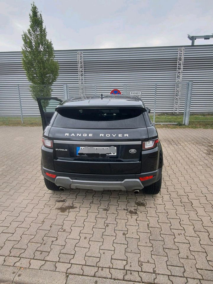 RANGE ROVER in Korb