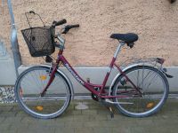 Damenfahrrad Fahrrad mit Körbchen vermutlich 26 Zoll Dresden - Langebrueck Vorschau