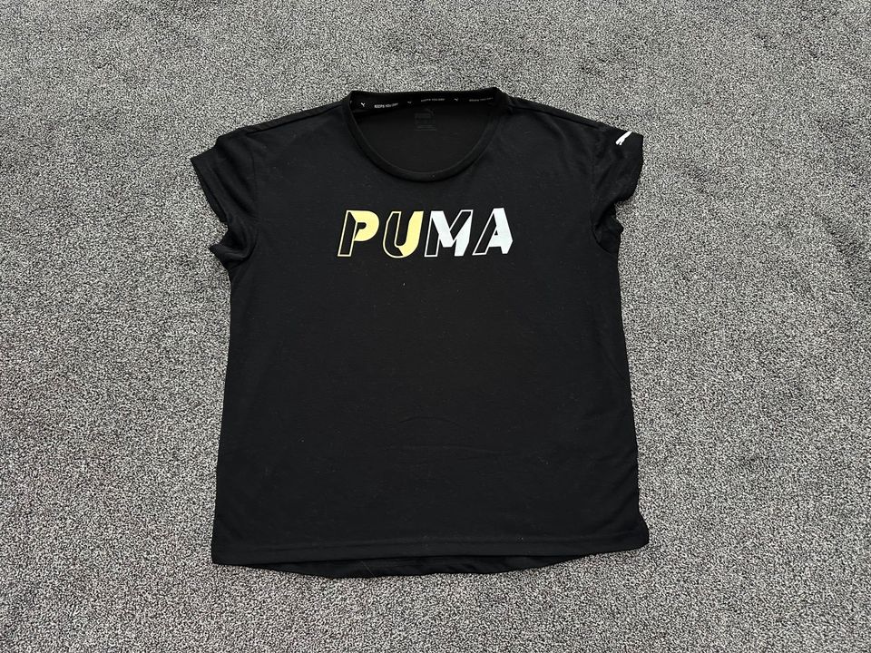 Puma Set T-Shirt und Shorts, Funktionsshirt, Größe S und 34, NEU in Telgte