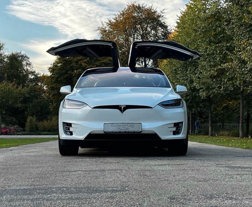 Tesla Model X 75D Volle Garantie bis 1.8.24 in Hamm (Sieg)