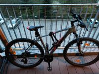 Mountainbike zu verkaufen Bayern - Nabburg Vorschau