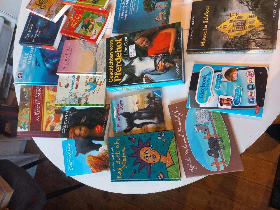 Jugendbücher Bücher Jugend Paket 20 Stück ostwind in Satrup