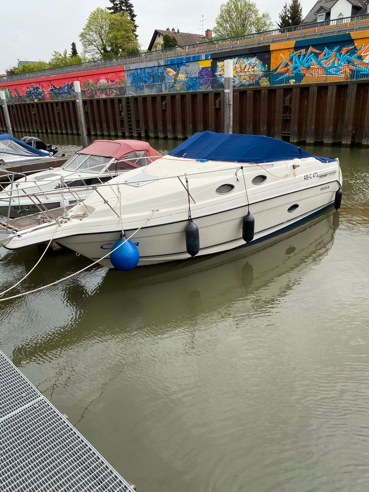 Motoryacht Regal 258 Commodore, V8, 5,7l, 260 PS MerCruiser in Neuberg