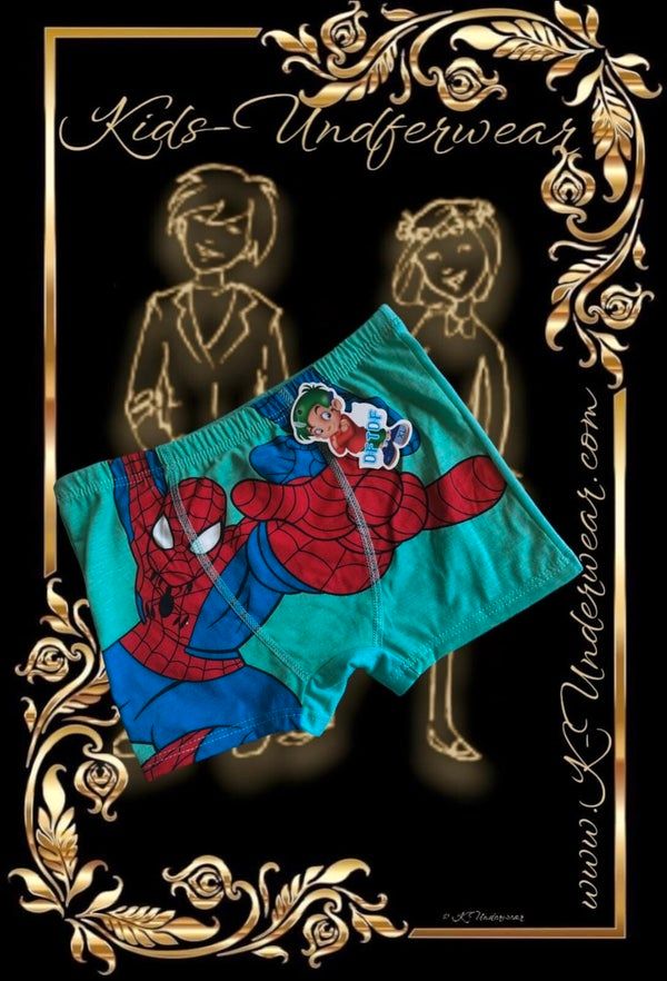 Spiderman Underwear Boys Panties in Lampertheim