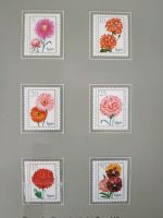 BRIEFMARKEN  - BLUMEN - DDR - 1975  ungestempelt Rheinland-Pfalz - Sinzig Vorschau