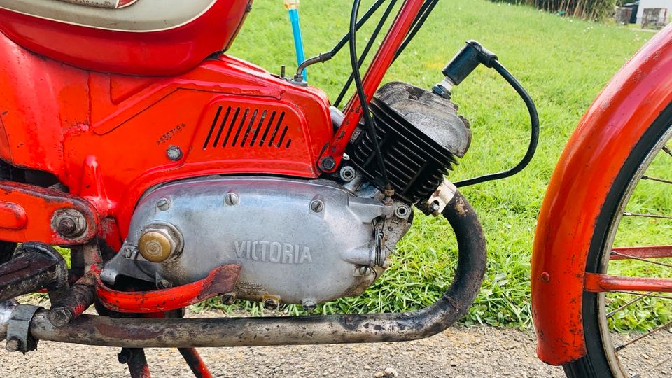 Victoria Vivi Viberti 50 Oldtimer Sport Moped Mokick Racer Deko in Bad Wurzach