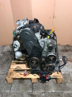 Motor 2.0TDI BPW 103KW 140PS AUDI A4 B7 84TKM KOMPLETT Berlin - Wilmersdorf Vorschau