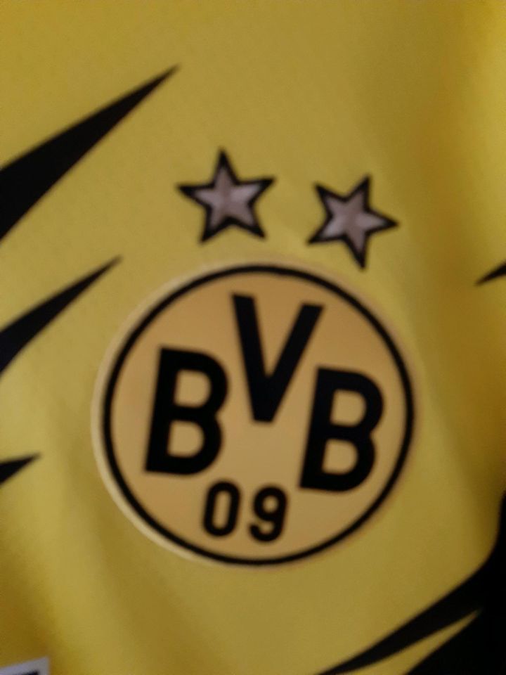 Trikot BVB Borussia Dortmund Erling Haaland XXL SAISON 2020/2021 in Lingen (Ems)