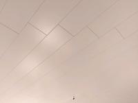 Deckenpaneele Esche Perlmutt Optik ca 11m² Kiel - Wellsee-Kronsburg-Rönne Vorschau