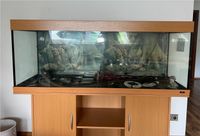 Aquarium  JUWEL – 450 l, Sandfilter, Steuerung und Zubehör Bergedorf - Hamburg Billwerder Vorschau