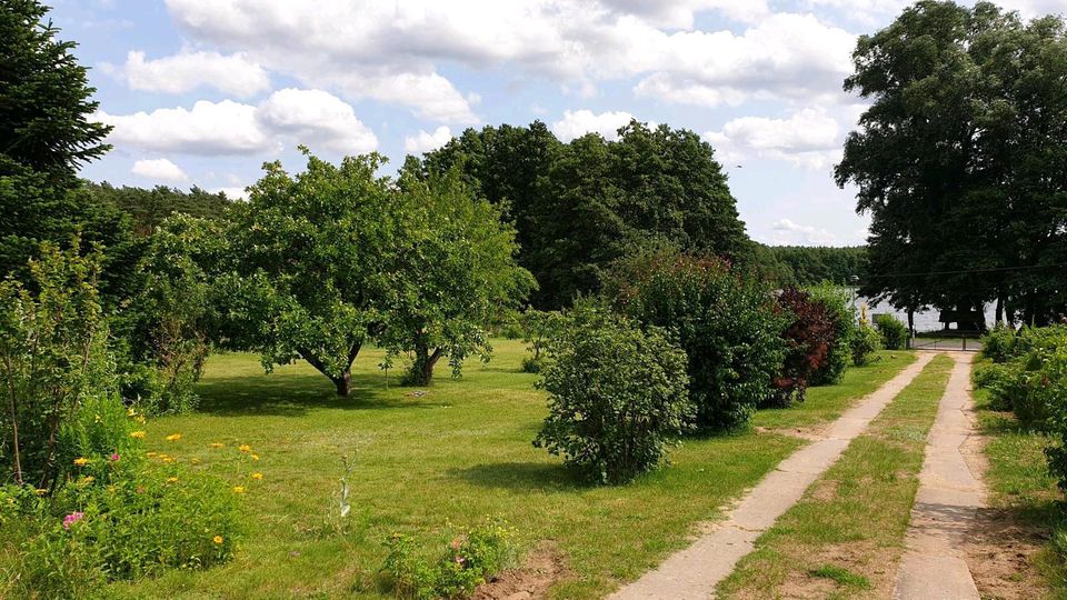 Ferienhaus am Wasser Sparpreis Lychen Uckermark See Wald Last Min in Lychen