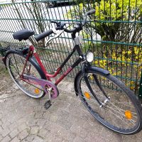 Fahrrad 28 zoll Herkules 1gang & Bosco 7Gang Hamburg-Nord - Hamburg Winterhude Vorschau