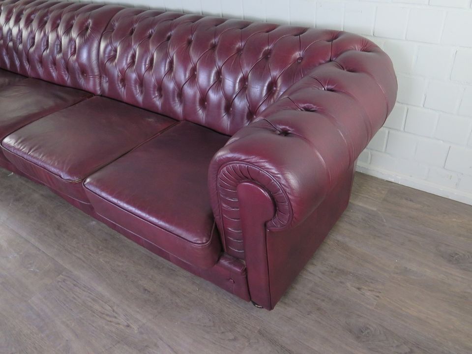 21955 Chesterfield Sofa Couch Leder Pflaume 2.90 m in Nordhorn