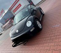 VW Beetle Cabrio Essen - Frillendorf Vorschau
