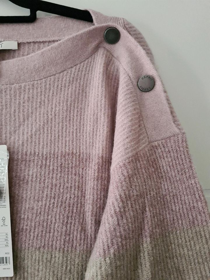 Esprit Pullover Wollemix Gr.XL in Krefeld