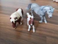 Schleich Bauernhof Hoftiere Pony Tiere Hund Katze Sammlung Nordrhein-Westfalen - Horstmar Vorschau