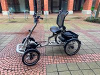 NEU E-Bike Pfautec Vierrad Tibo+, Cargo Line Mittelmotor, 725 Wh Nordrhein-Westfalen - Everswinkel Vorschau