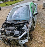 Peugeot 206cc teilgeschlachtet Baden-Württemberg - Meßkirch Vorschau