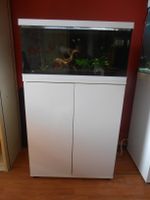 Aquarium Eheim, 54 L, m. Led, Unterschrank,komplett m. Besatz Nordrhein-Westfalen - Selm Vorschau