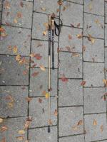 Leki Makalu Classic 110-145cm Stöcke Wanderstöcke Nordic Walking Neuhausen-Nymphenburg - Neuhausen Vorschau