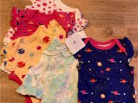 NEU// 5 Kurzarmbodys von Rosie Pope / 3-6M Schleswig-Holstein - Tangstedt  Vorschau