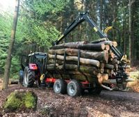 Möre Maskiner SF11 Rückewagen mit 6570 Kran, Holzwagen Thüringen - Kaltenlengsfeld Vorschau