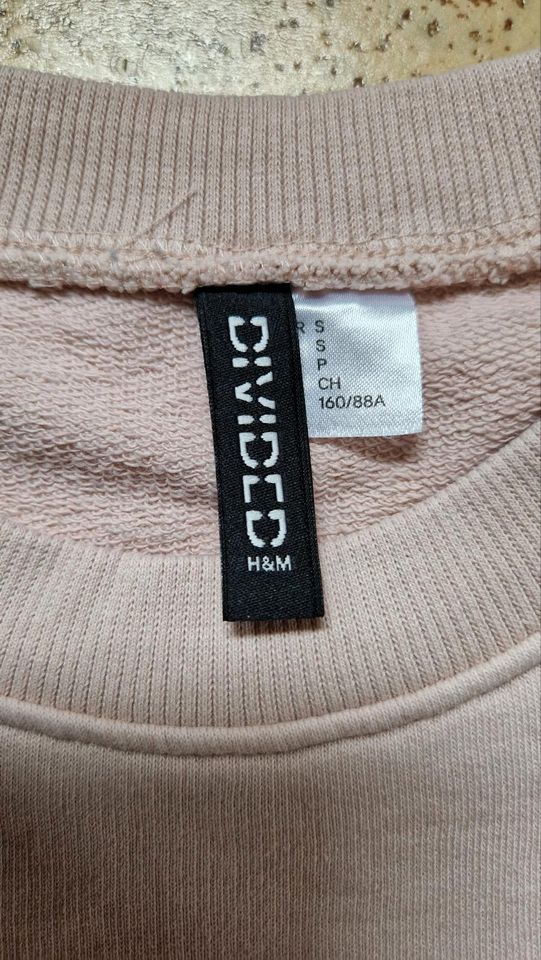 Divided H&M Cropped Sweatshirt Gr. S in Schüttorf