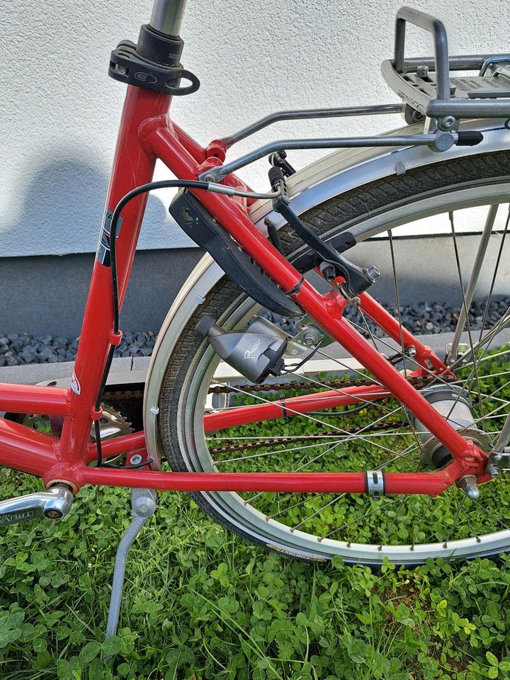 Epple Damen Fahrrad in Mainburg