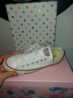 Converse Schuhe 37 Nordrhein-Westfalen - Leopoldshöhe Vorschau