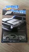 Hot Wheels Forza Motorsport AMC Javelin AMX Long Card Sachsen - Görlitz Vorschau