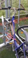 Fahrrad blau gamporello Hamburg-Nord - Hamburg Eppendorf Vorschau