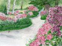 Original Aquarellbild 24 x 32 cm, Rhododendron Park  - Unikat Niedersachsen - Delmenhorst Vorschau