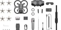 DJI Avata ProView Combo-Goggles 2+RC Motion 2+Fly More Set+Koffer Herzogtum Lauenburg - Ratzeburg Vorschau