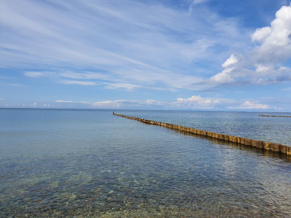 2 Ferienwohnungen - Hof, Garten, Sauna - Darß Ostsee in Ribnitz-Damgarten