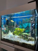 Aquarium all inclusive München - Thalk.Obersendl.-Forsten-Fürstenr.-Solln Vorschau